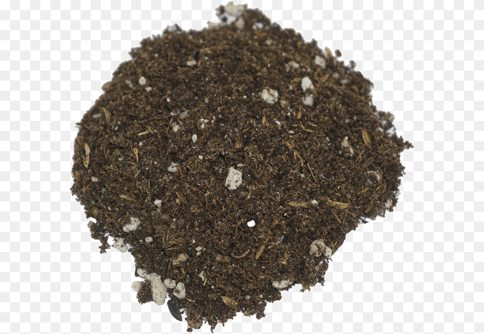 Seedling Soilclass Lazyload Lazyload Fade In Cloudzoom Rolling Tobacco, Soil, Plant Free Png Download