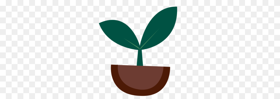 Seedling Sowing Soil Sprouting, Leaf, Plant, Potted Plant, Astronomy Free Png Download