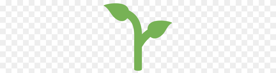 Seedling Young Leaf Green Environment Nature Icon, Plant, Sprout, Bud, Flower Png