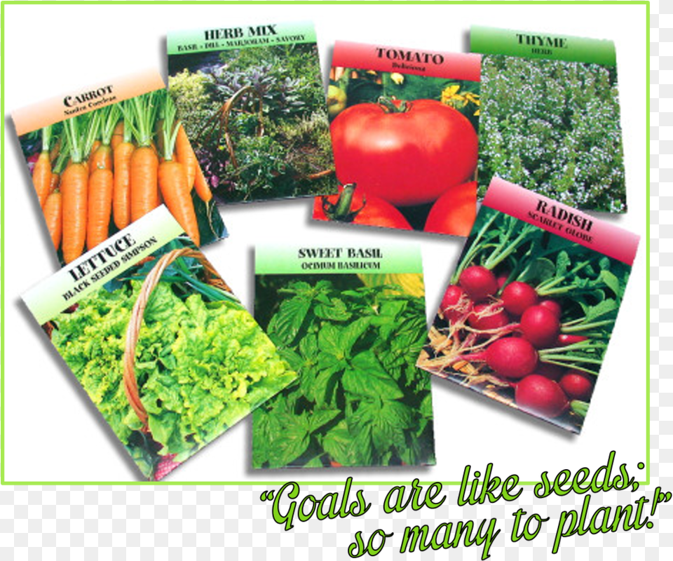 Seeds, Food, Produce, Plant, Dynamite Png Image