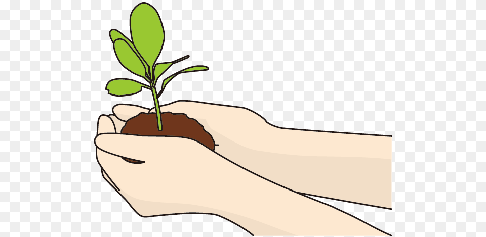 Seeds, Leaf, Plant, Planting, Person Free Transparent Png