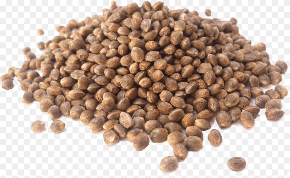 Seeds, Food, Produce, Bean, Lentil Free Transparent Png