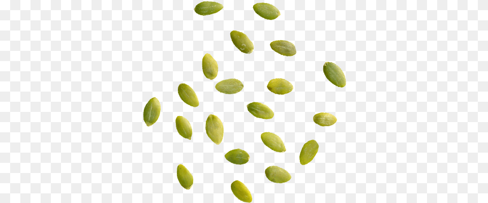 Seeds Bar Circle, Food, Produce Free Transparent Png
