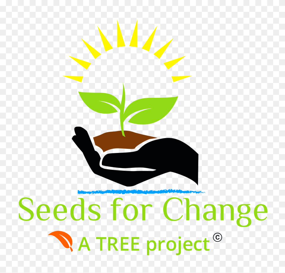 Seeds For Change An Environmental Justice Program, Leaf, Plant, Logo, Vegetation Png Image