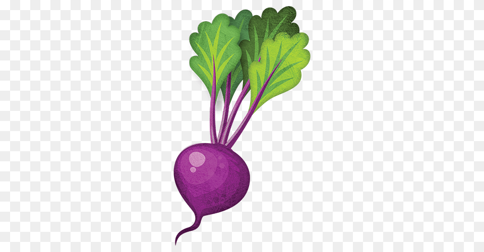 Seeds Little Garden, Food, Plant, Produce, Turnip Free Transparent Png