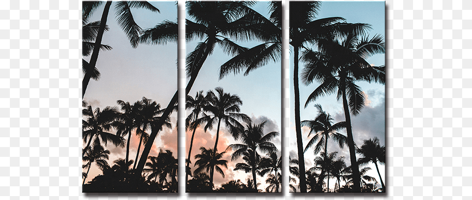 Seegart 3 Panels Beach Seascape Coconut Tree Wall Painting, Palm Tree, Plant, Summer, Nature Free Png Download