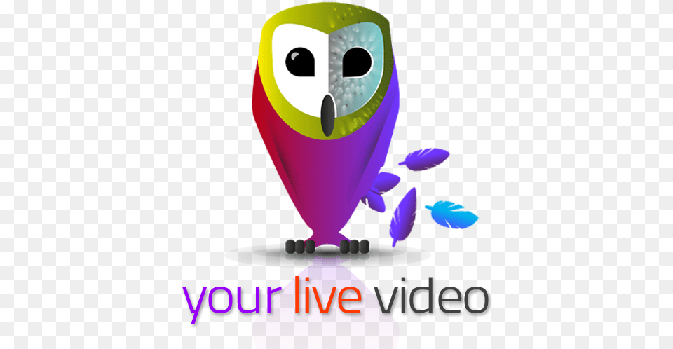 Seeume Your Live Video Camera Soft, Art, Graphics, Dynamite, Weapon Png Image