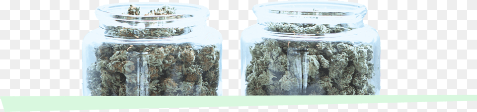 Select From A Variety Of Premium Quality Marijuana Moss, Herbal, Herbs, Jar, Plant Free Png