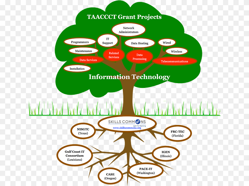 Select Grant Projects In Information Technology Cartoon Trees With Roots, Vegetation, Root, Plant, Tree Free Png Download
