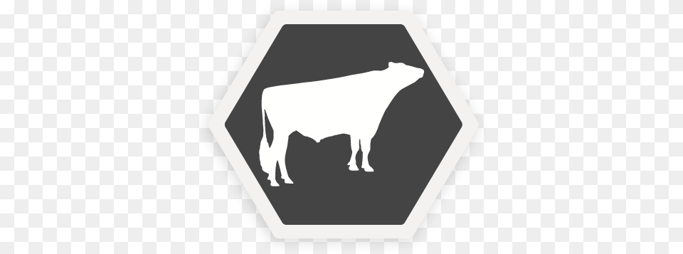 Select Sires Cow, Symbol, Animal, Bull, Mammal Png