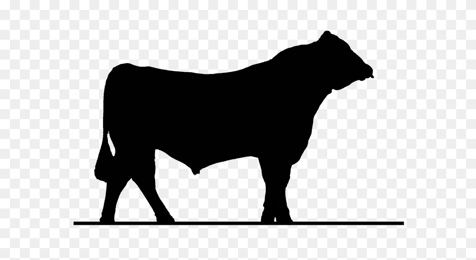 Select Sires Value, Animal, Bull, Mammal, Silhouette Free Transparent Png