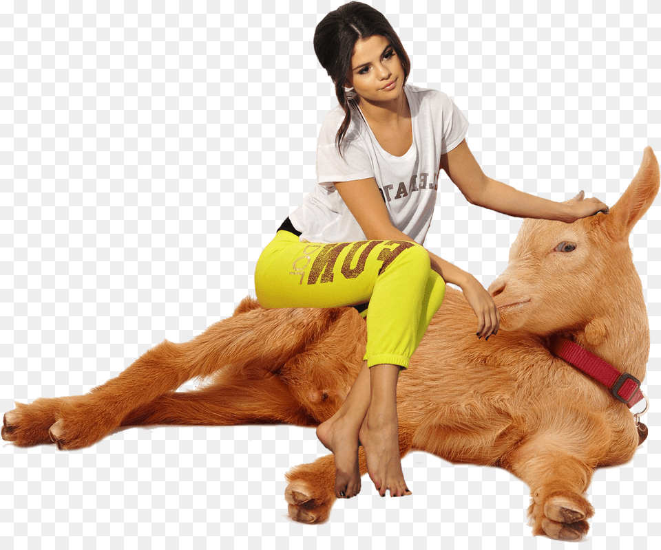 Selena Having A Relaxing Goat Sit Golden Guernsey, Adult, Person, Woman, Female Free Png Download