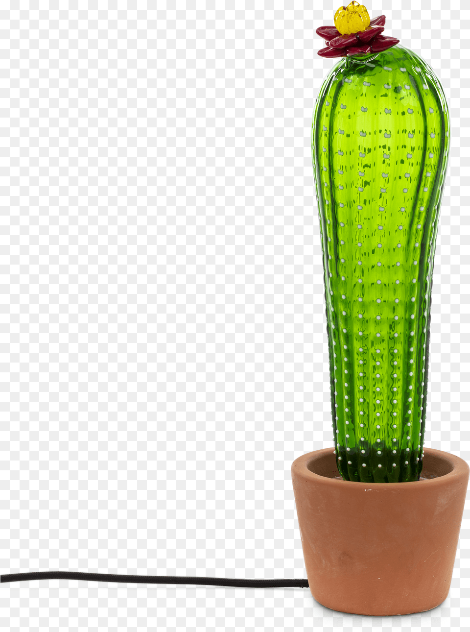 Seletti Cactus, Plant Png Image