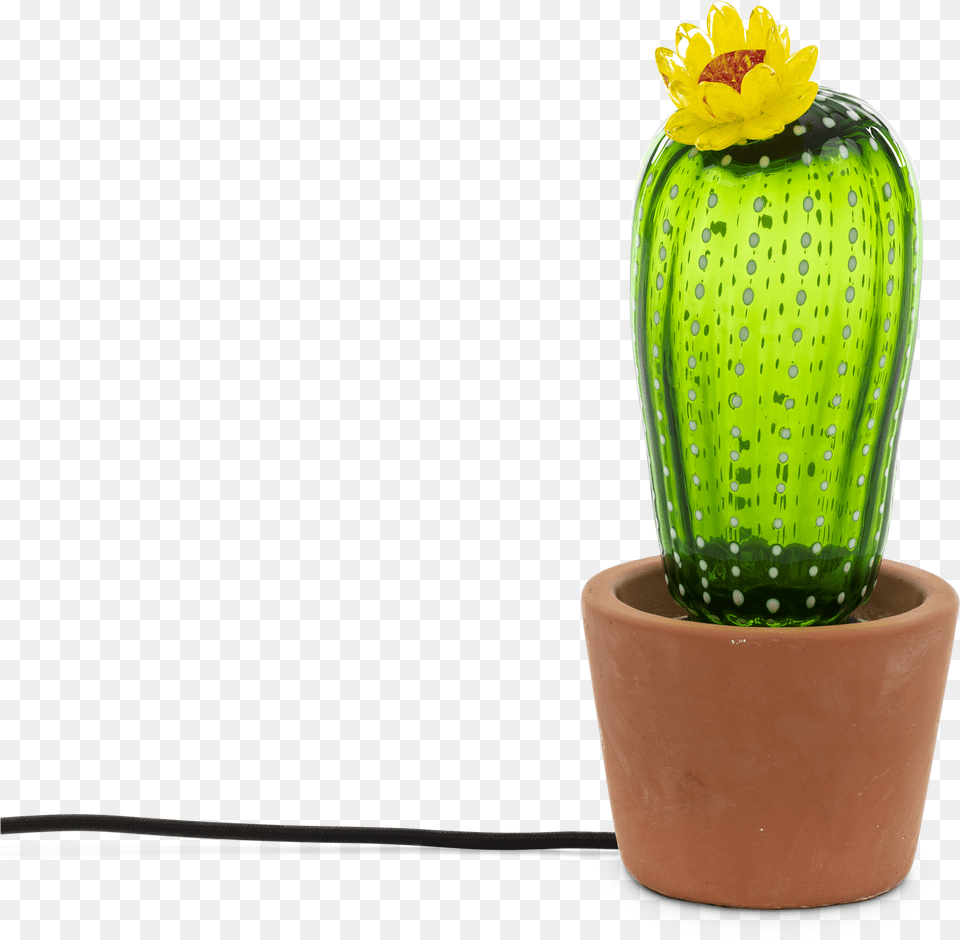 Seletti Cactus Table Lamp Seletti Cactus Lamp, Plant Png Image