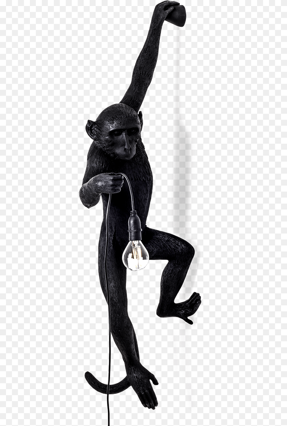 Seletti Outdoor Monkey Lamp Hanging 0 Lamp Met Aap, Lighting, Animal, Mammal, Wildlife Free Png