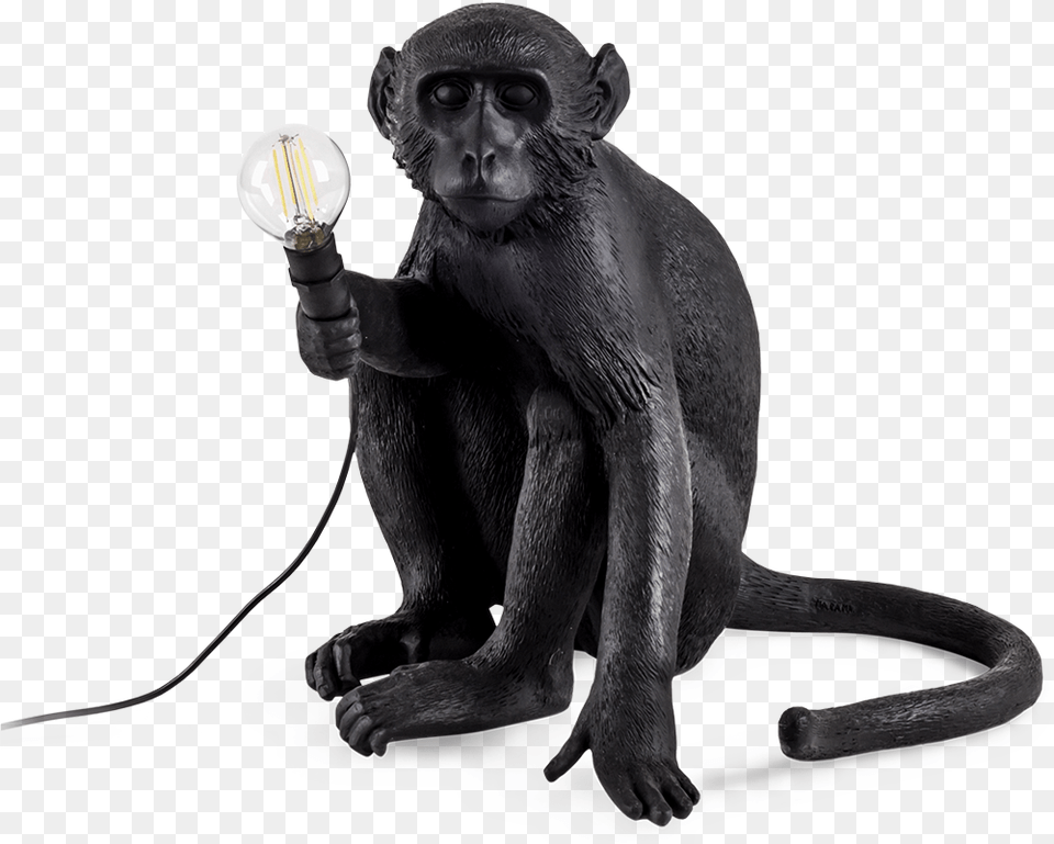 Seletti Outdoor Monkey Lamp Sitting Seletti Monkey Lamp Black Sitting Black, Animal, Light, Mammal, Wildlife Png