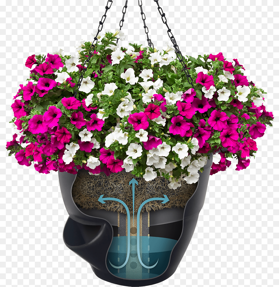 Self Watering Hanging Baskets Purple, Flower, Pottery, Potted Plant, Planter Png