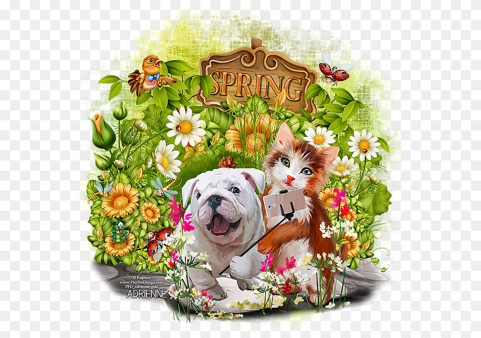 Selfiehello Spring West Highland White Terrier, Envelope, Mail, Greeting Card, Animal Free Transparent Png