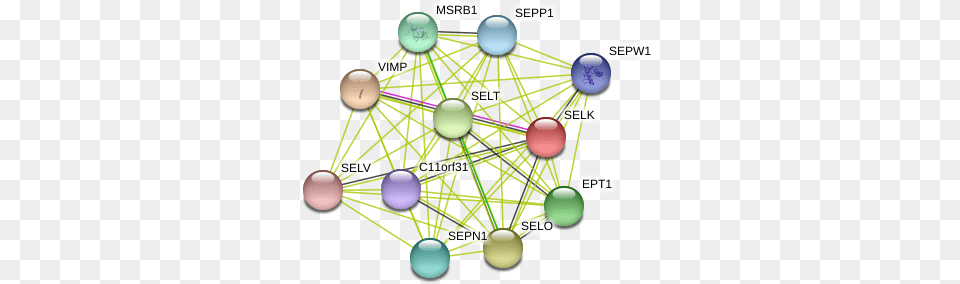 Selk Protein, Network, Sphere, Chandelier, Lamp Free Transparent Png