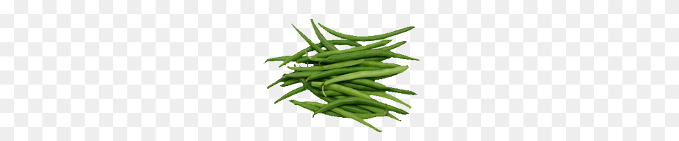 Sell Green Beans Serbia, Bean, Food, Plant, Produce Png