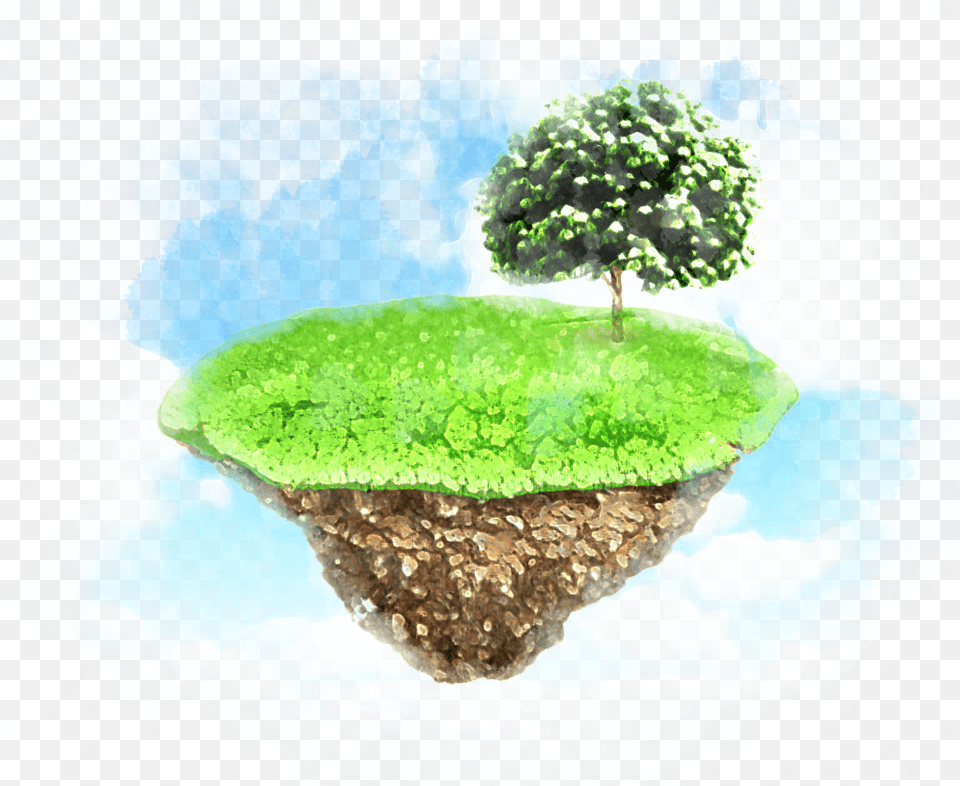Selling Land Through One Powerful Network Moss, Tree, Plant, Nature, Outdoors Free Png Download
