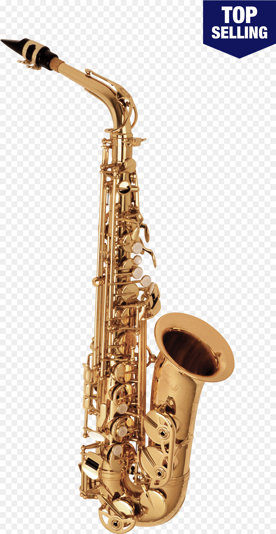 Selmer La Voix Ii Alto Sax Selmer Sas280 La Voix Ii Alto Saxophone Outfit, Musical Instrument Png Image