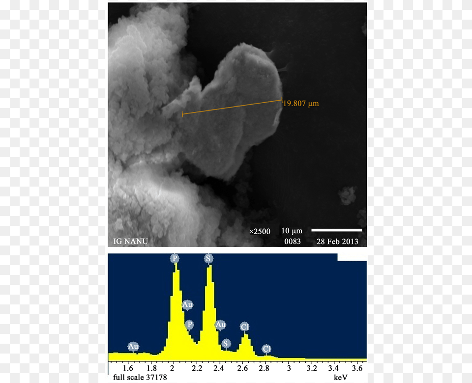 Sem Image And Eds Spectra Of Gold Particles Embedded, Cloud, Cumulus, Nature, Outdoors Free Png