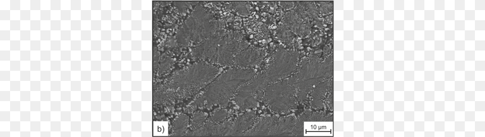 Sem Images Of An Uncoated Alzro Particle Monochrome, Road, Tar, Soil, Rock Free Transparent Png