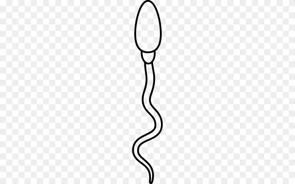 Semen Sperm Pregnant Semen Cumshot Swallows, Gray Free Png Download