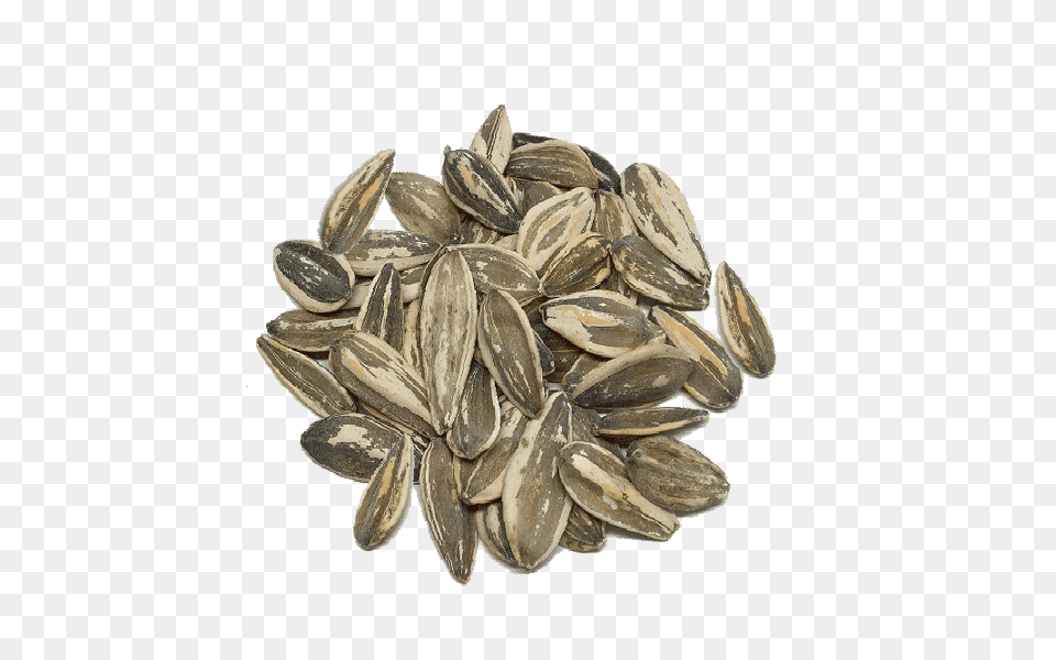 Semillas De Girasol Tostadas Sunflower Seed, Plant, Food, Grain, Produce Free Png
