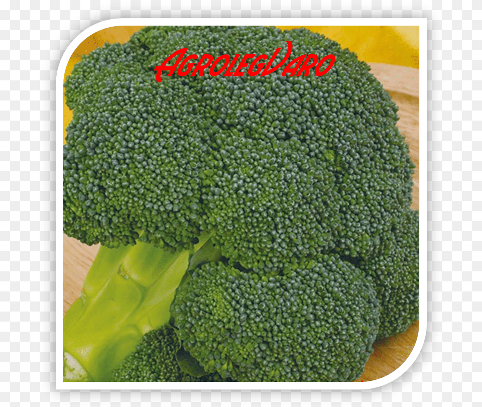 Seminte De Broccoli Ironman F1 Broccoli, Food, Plant, Produce, Vegetable Png Image