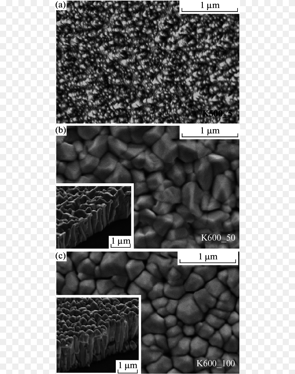 Semmfeg Micrographs Of Krffdeposited Zno Films At Substrate Film, Pebble, Road, Rock, Animal Free Transparent Png