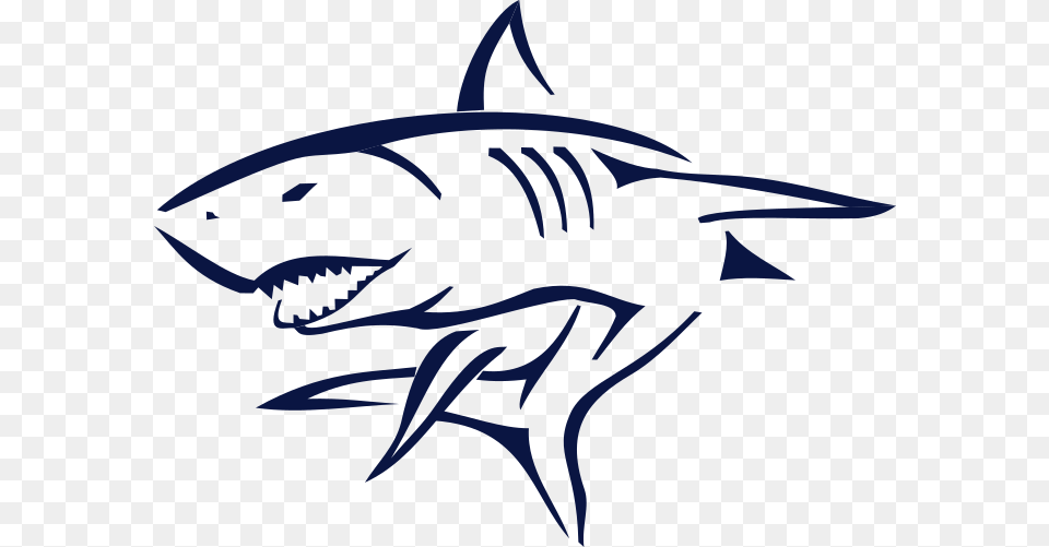 Sems, Animal, Sea Life, Fish, Shark Png Image