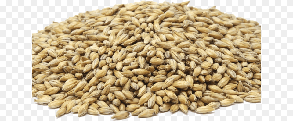 Semyan, Food, Grain, Produce, Wheat Free Transparent Png
