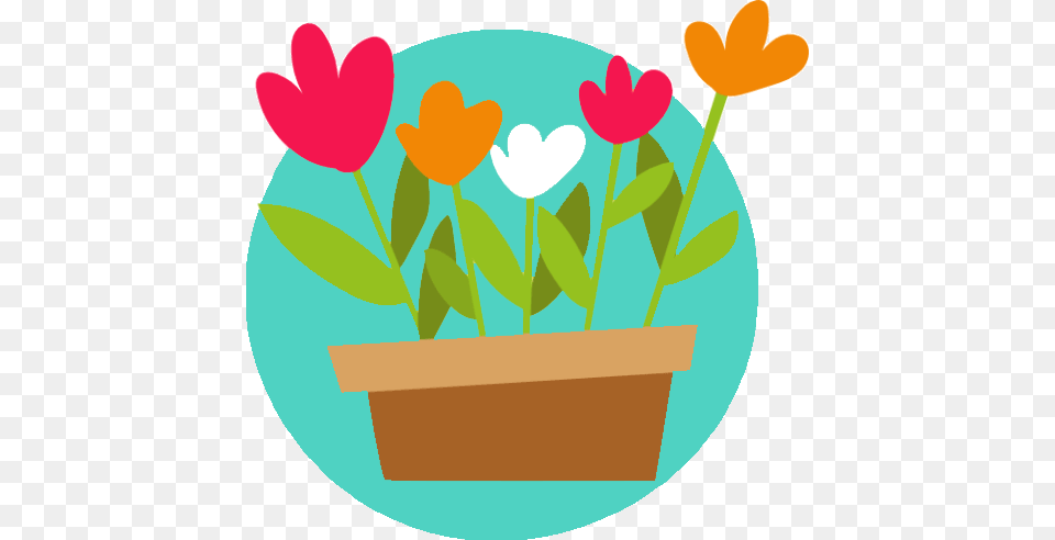 Sena Florist Toko Bunga Online, Jar, Plant, Planter, Potted Plant Free Png Download