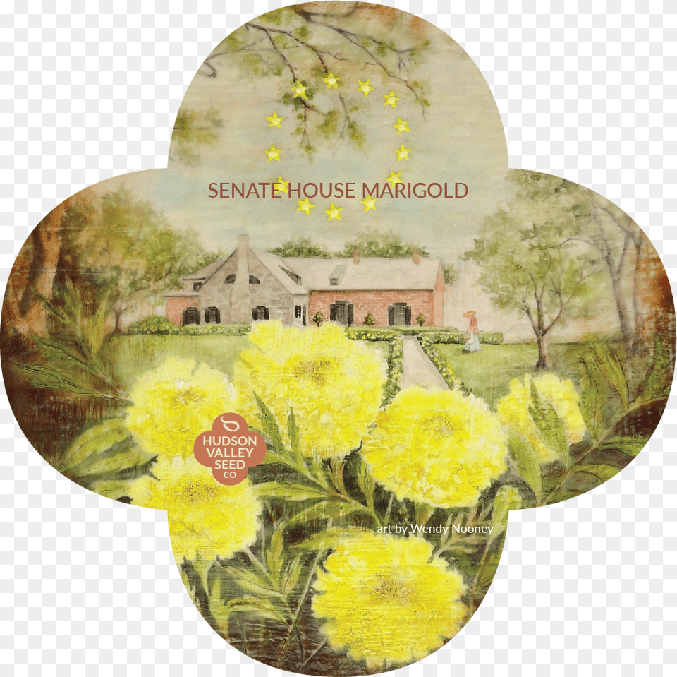 Senat House Marigold Quatrefoil Headstone, Art, Painting, Person, Pattern Free Png