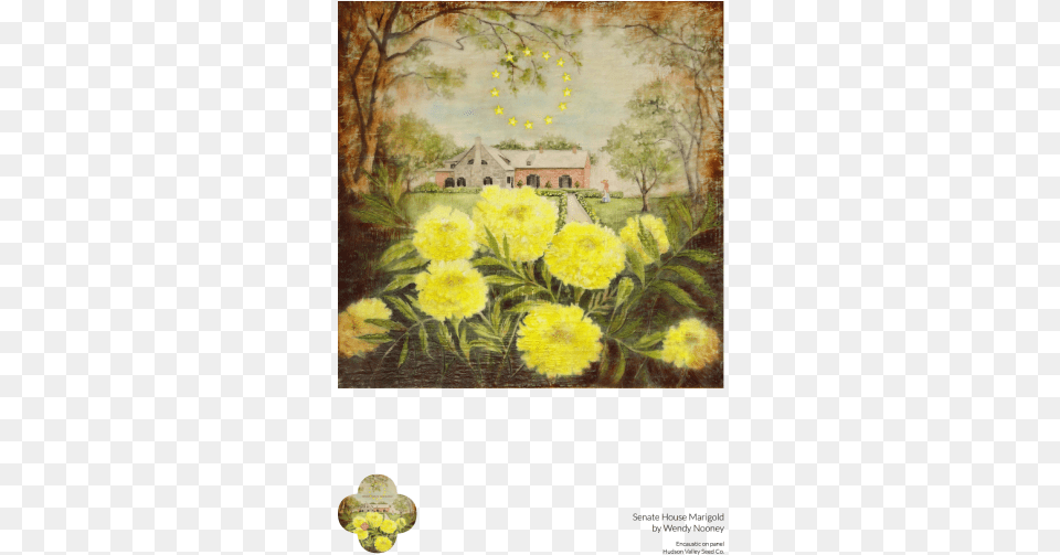 Senate House Marigold Fine Art Poster Large Flowered Evening Primrose, Painting, Floral Design, Graphics, Pattern Png