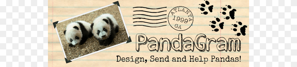 Send A Custom Pandagram To Any Email Address For A Panda, Animal, Bear, Giant Panda, Mammal Free Png