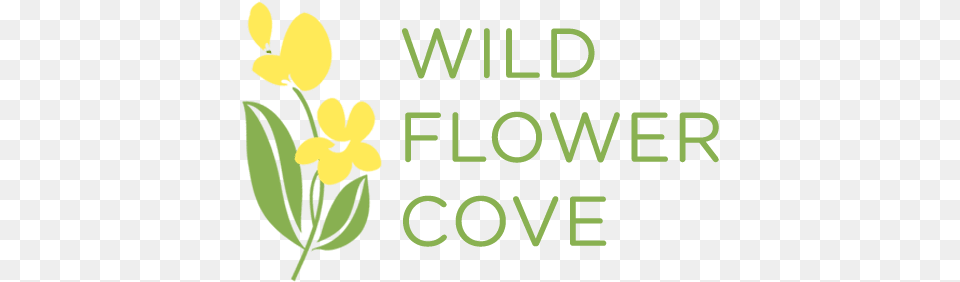 Send Flowers In Store City Ohio Wild Flowers Clip Art, Leaf, Plant, Flower, Petal Png