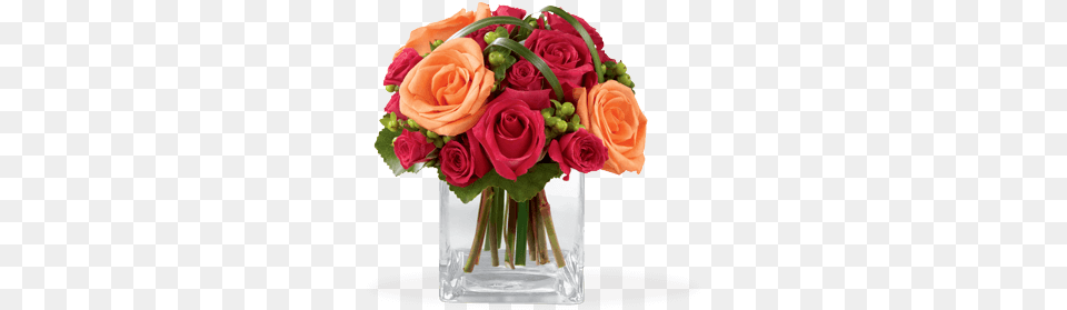 Send Now Harmony In Floral Arrangements, Art, Plant, Pattern, Graphics Png