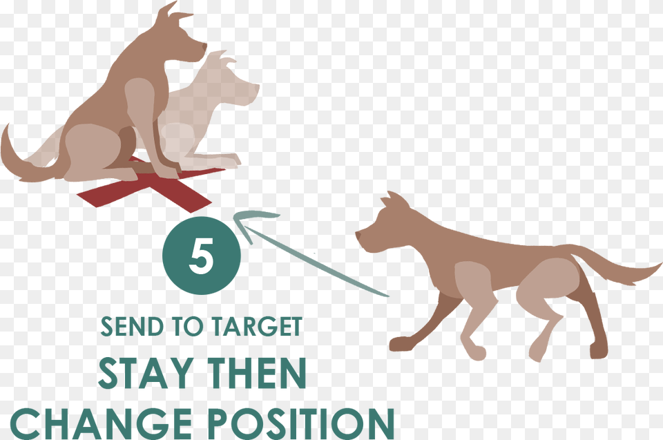Send To Target Position Change, People, Person, Crowd Png Image
