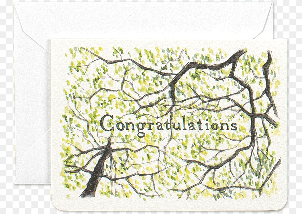 Send Your Fondest Congratulations With This Abstract Greeting Card, Plant, Paper Png