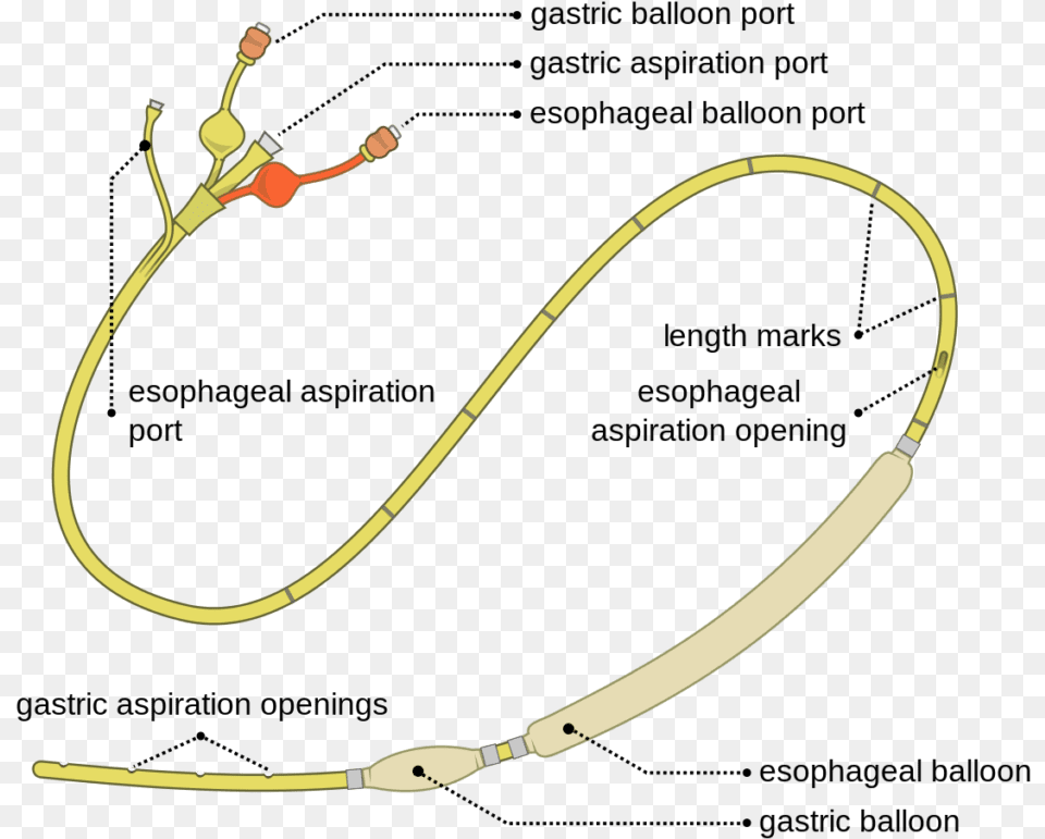 Sengstaken Blakemore Tube, Bow, Weapon Png Image