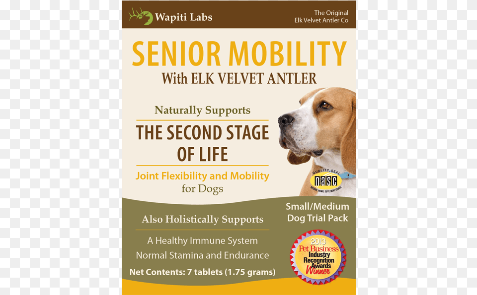 Senior Mobility For Dogs Companion Dog, Advertisement, Poster, Animal, Canine Png Image