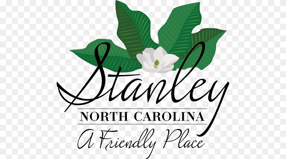 Senior Trip To Tanglewood Christmas Lights The Town Of Stanley Nc, Leaf, Plant, Flower, Text Png