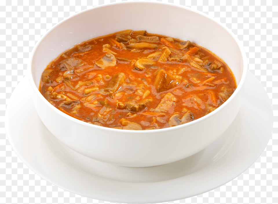 Senju Soljanka Hot Amp Sour Soup, Bowl, Curry, Dish, Food Png Image