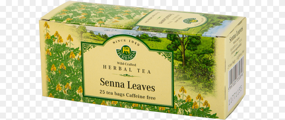 Senna Leaves Tea 25 Tea Bags Senna Leaves Cassia Angustifolia, Herbal, Herbs, Plant, Beverage Free Transparent Png