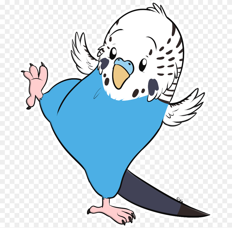 Senpai Budgie Budgie Clip Art, Baby, Person, Animal, Mammal Free Transparent Png