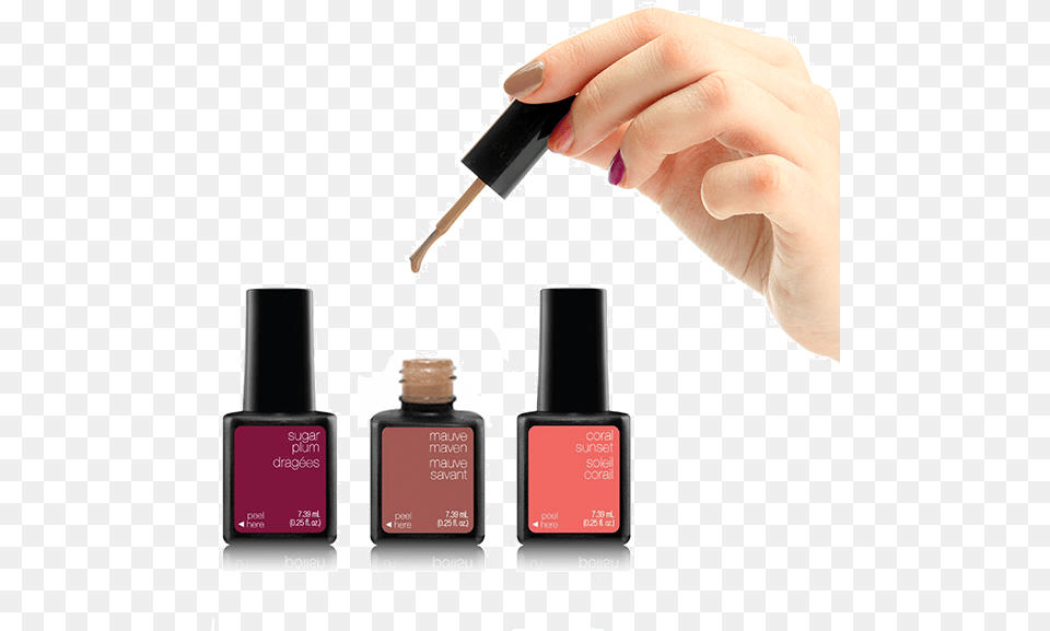 Sensationail Polishes For 30 Nail Polish, Cosmetics, Bottle, Perfume, Baby Png