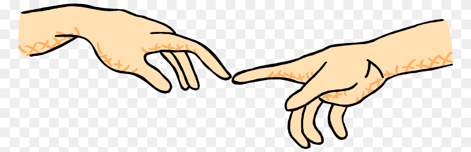 Sense Of Touch Anatomy Endings Eng Human Nerve Sense, Body Part, Hand, Person, Finger Free Png